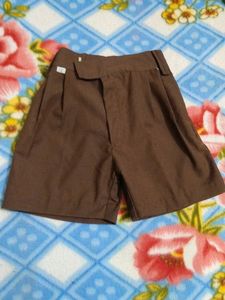 Brown Pleated Shorts