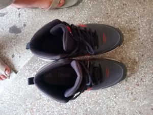 Adidas basketball Shoes