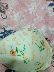 Padded Bra(38A)