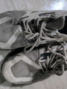 Used Sneakers