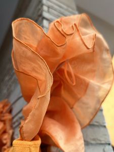 Zara Organza Sleeves Crop Top