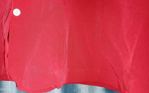 Vibrant Red Short Sleeve Shirt