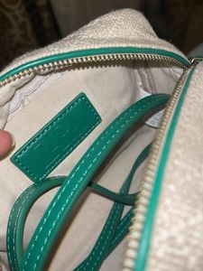 Zara Green &amp; Beige Handbag