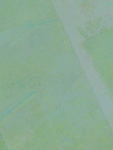 Black Oxidised Hoop Jhumki Earrings | Lightweight