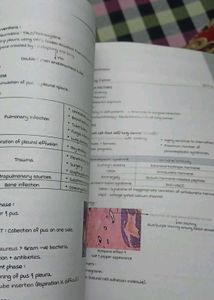 Surgery Vol 1 &amp; 2 -  Marrow Edition 8