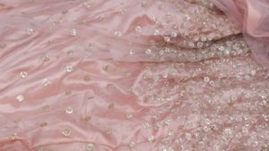 Peach Lehenga with Intricate Embroidery