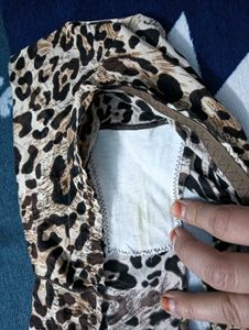 Animal Print Briefs🖤