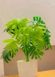 Artificial 🪴Plant