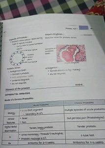 Surgery Vol 1 &amp; 2 -  Marrow Edition 8