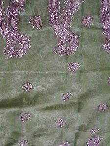 Green &amp; Silver Embroidered Saree