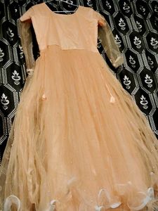 Elegant Ethnic Gown 😍