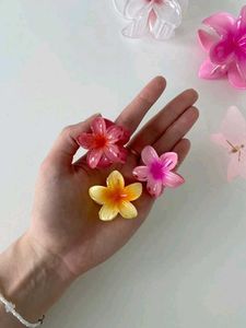 Fuzzy Claw Hair Clip (Get One For 80)