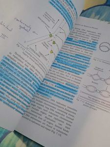 Ncert Biotechnology Textbook for Class XI