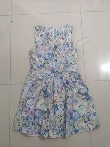 Floral Print Fit & Flare Dress