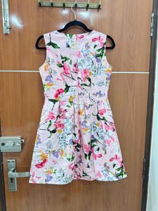Beautiful Dress Women
