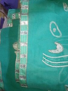 Green Embellished Saree