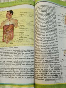 Biology Textbook XI