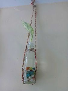 Hanging Glass Bottle Planter With Plant