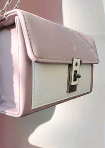 Chic Clutch