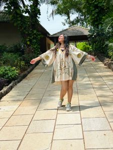 zara embroidery dress