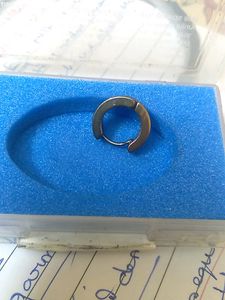 Gold Tone Hinged Hoop Earring