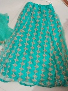 Embroidered Lehenga Choli