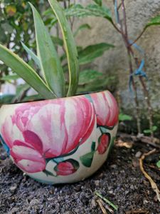 Elegant Floral Succulent in Earthen Pot