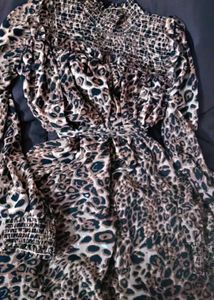 Leopard Print Mini Dress