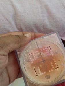 Maybelline Four Color Loose Powder