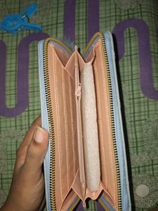 Beautiful Women Purse
