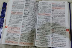 Macmillan English Dictionary