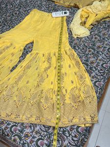 Double Shaded Gharara For Diwali Or Wedding