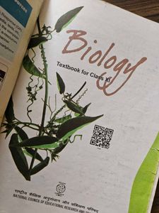 11th Biology Ncert
