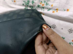 Baggit Handbag Teal Green Color
