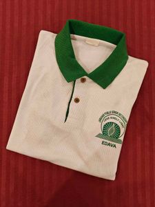Boys Green Polo Tshirt