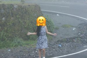 Animal Print Sleeveless Dress