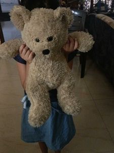 Fluffy Teddy Bear