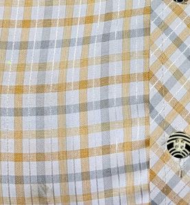 Checked Casual Shirt