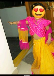 Lehenga Choli Set