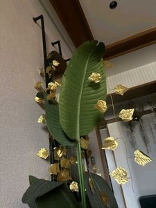 Green And Golden Leaves