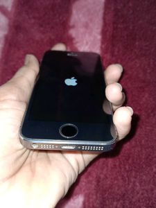 Apple iPhone 5s