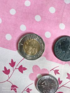 Coin Collection