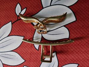 metal Golden Hair Claw Clips