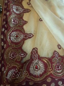 Elegant Embellished Saree