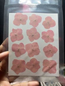 Resin Pressed Dried Flowers