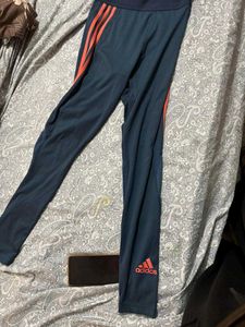Adidas Tight