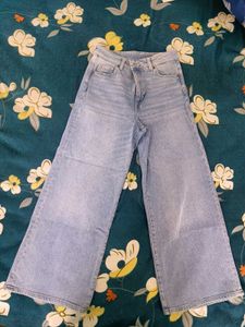 Light Wash Cropped Wide Leg Jeans