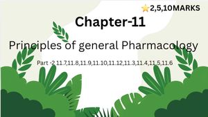 Black Sexy Denim Jumpsuit