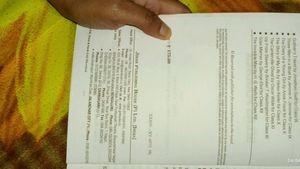 Novel