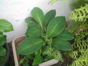 Kodak Easyshare M530 Digital Camera